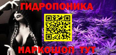 шишки Гусиноозёрск