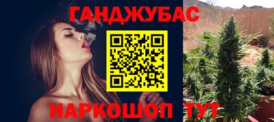 шишки Гусиноозёрск
