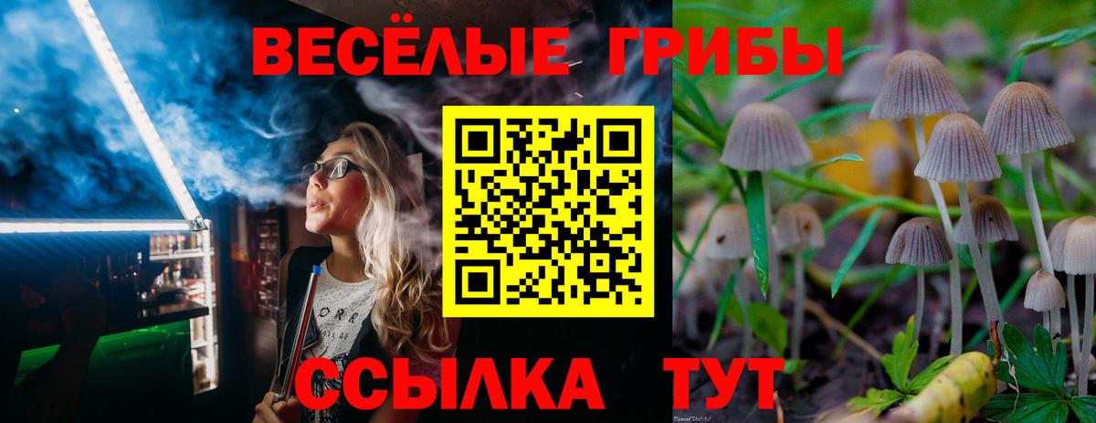 Псилоцибиновые грибы прущие грибы  Вход с VPN  Москва  Галлюциногенные грибы MAGIC MUSHROOMS 